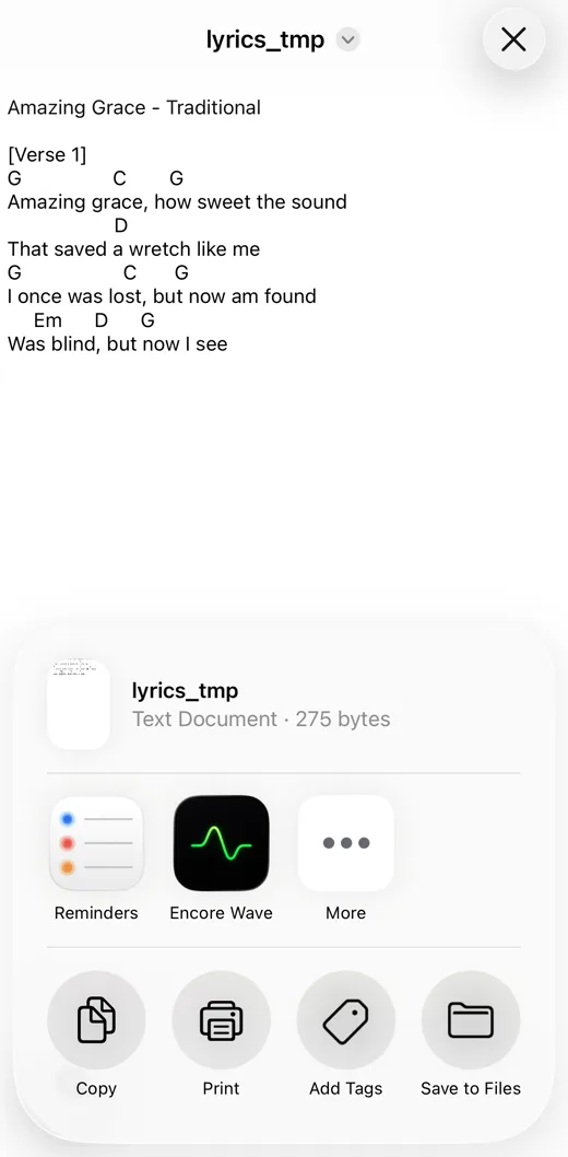 The iPhone share sheet for a shared chart (lyrics_tmp, Text Document), with Encore Wave and More in the app row
